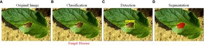 An advanced deep learning models-based plant disease detection: A review of recent research